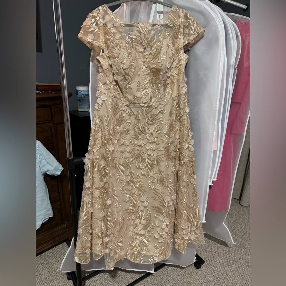 NWT 16W Elegant Floral Embroidered Dress